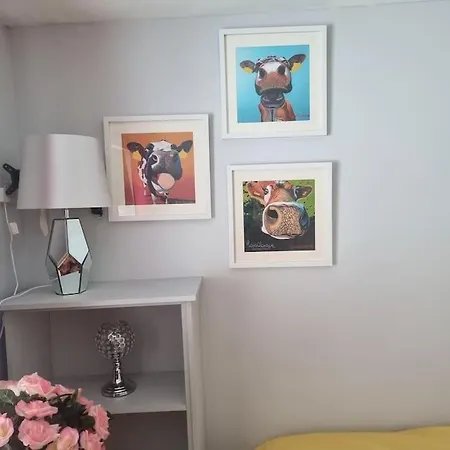 The Middle Of Everywhere - 2 Bedrooms Option Of Making A Third - One Large 2 Double Beds One Medium With One Double Bed, Option Of Adding A Double Bed To The Sitting As Required Apartment